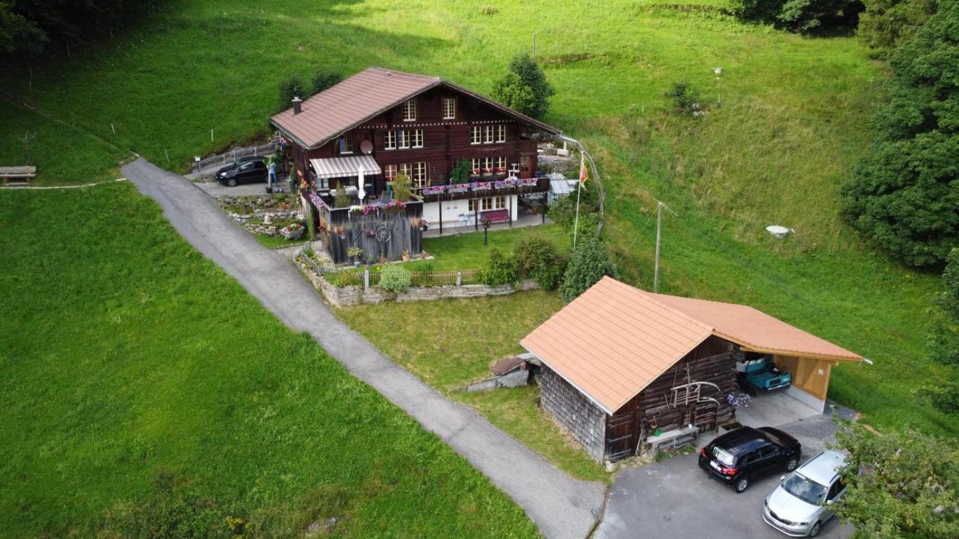 Apartment Birchihaus *
